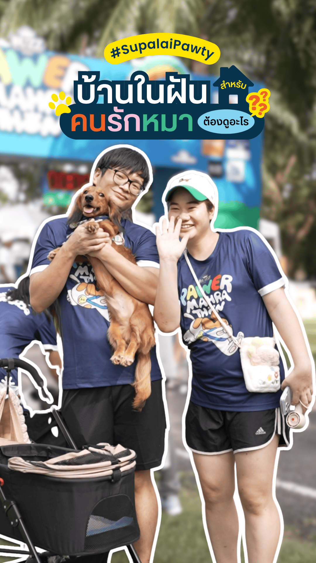 Content 2 บ้านในฝันสำหรับคนรักหมา ต้องดูจากอะไร