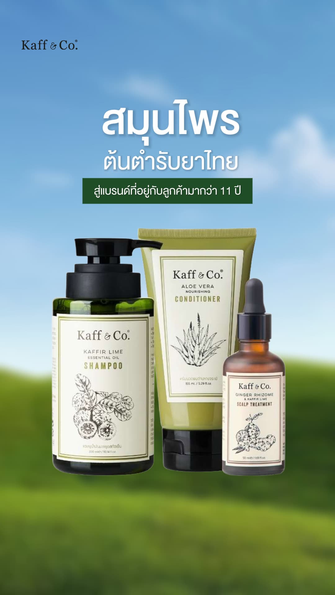 KaffCo01 Mar จากสมุนไพรต้นตำรับยาไทย